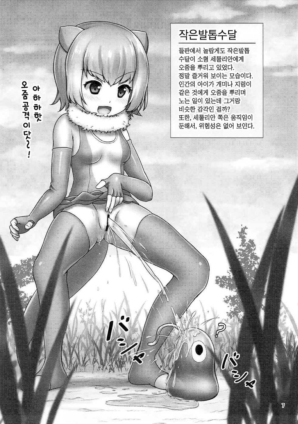 (C92) [Besshun-tei (Arisu Kazumi)] Friends no Oshikko Kansatsuki | 프렌즈의 오줌 관찰기 (Kemono Friends) [Korean] - Page 5