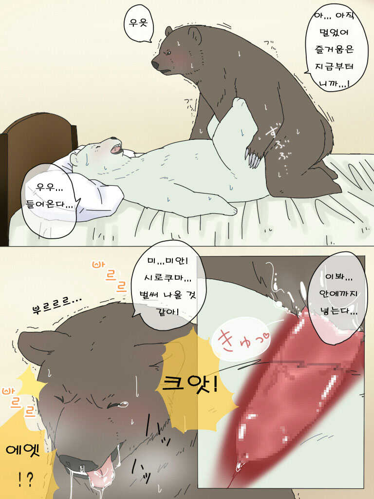 [Otousan (Otou)] Shirokuma-san to Haiiroguma-san ga Ecchi suru dake | 시로쿠마 씨와 그리즐리 씨가 섹스한 것 뿐 [Korean] - Page 13