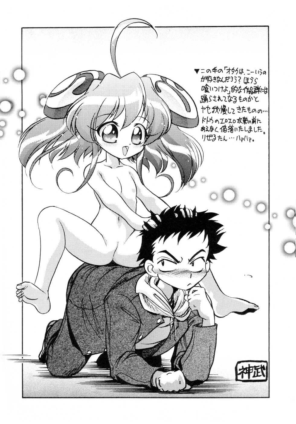 (C63) [Ruirui Kikaku, Minemine Kikaku (Various)] Ran³ F (Various) - Page 9