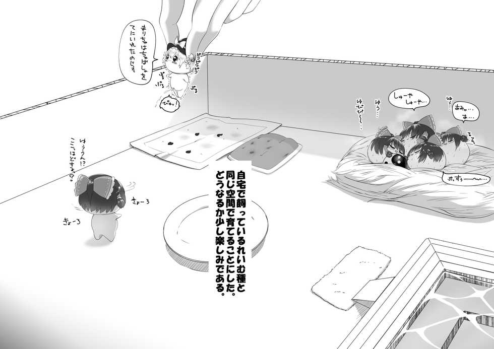 [big.g02] ふるすろっとるぜんら - Page 2