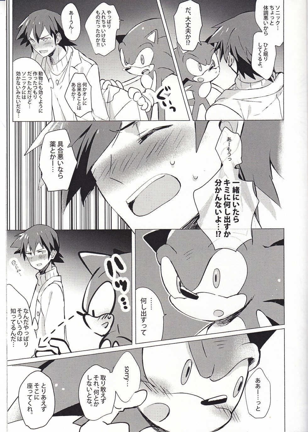 (GOOD COMIC CITY 24) [Star Peace (Mikan)] FIRST NIGHT!! (Sonic the Hedgehog) - Page 12