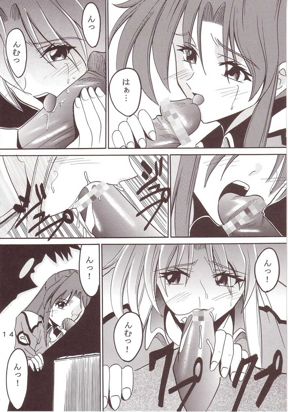 [St. Rio (Kichigai Teiou, Ishikawa Ippei)] SEED 2 (Mobile Suit Gundam SEED) - Page 15