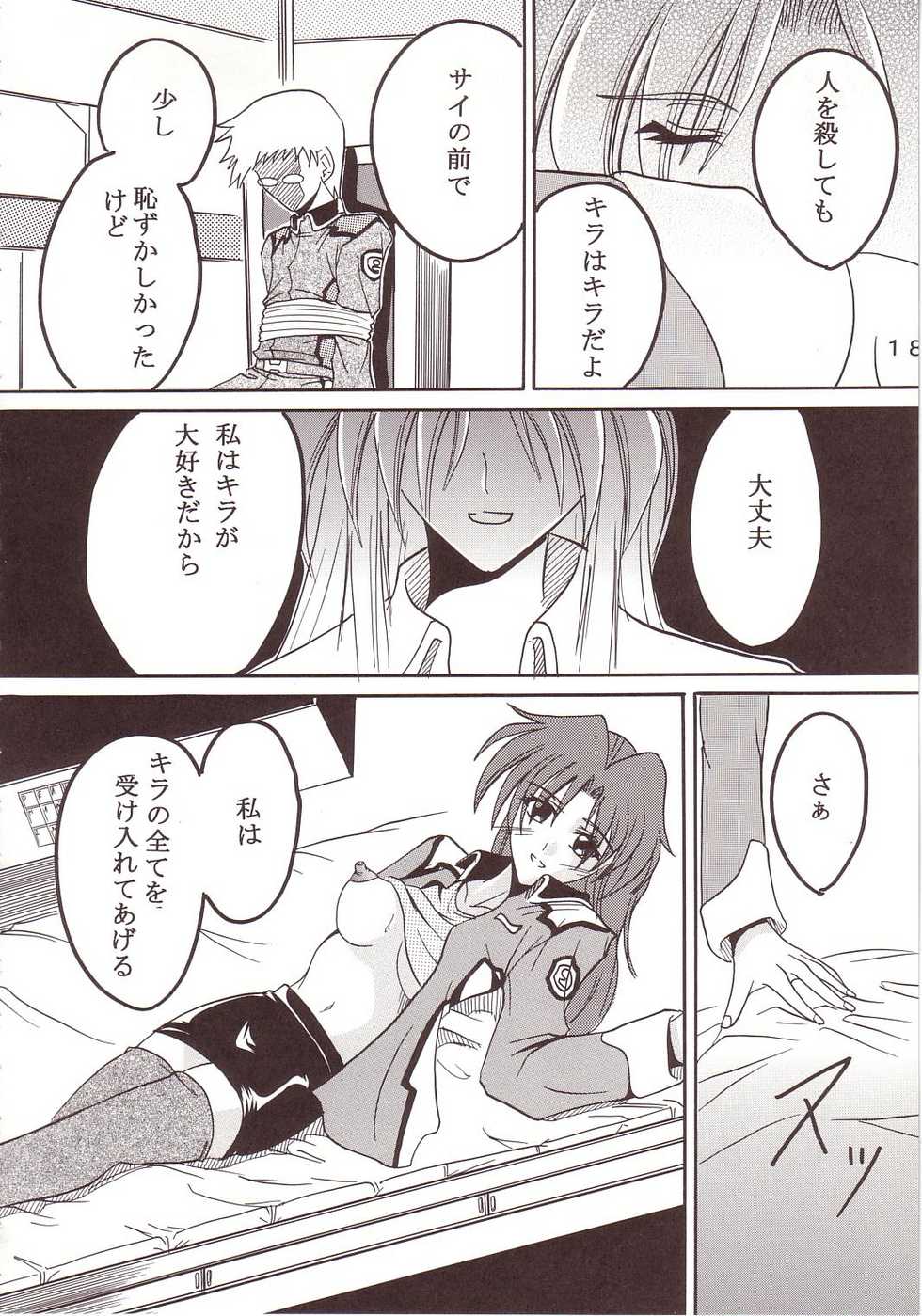 [St. Rio (Kichigai Teiou, Ishikawa Ippei)] SEED 2 (Mobile Suit Gundam SEED) - Page 19