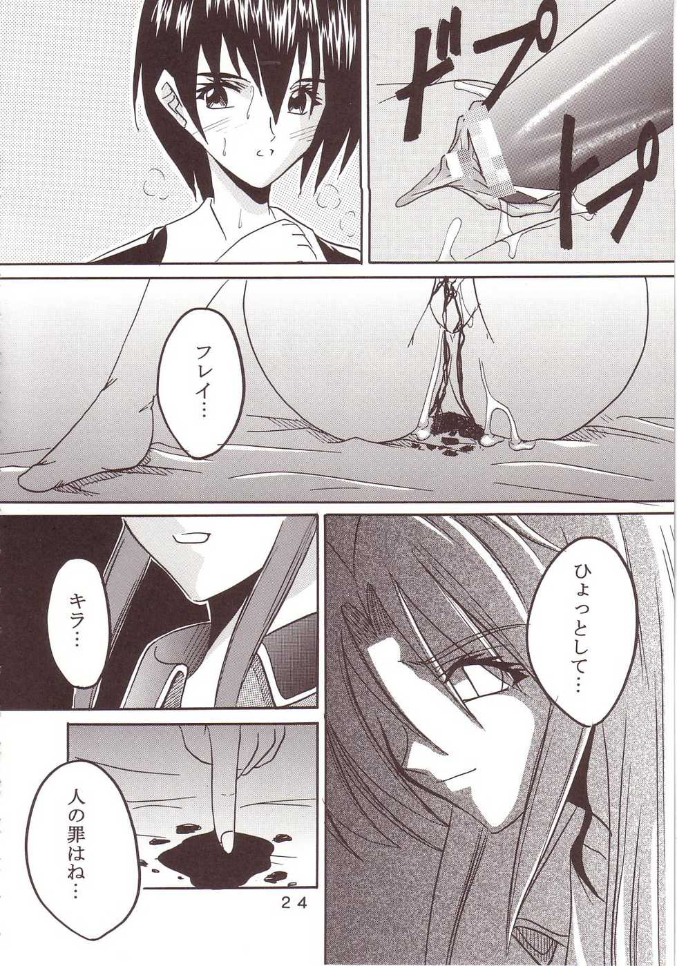 [St. Rio (Kichigai Teiou, Ishikawa Ippei)] SEED 2 (Mobile Suit Gundam SEED) - Page 25