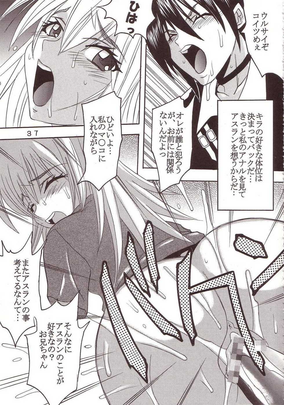 [St. Rio (Kitty, Ishikawa Ippei)] SEED 3 (Mobile Suit Gundam SEED) - Page 36