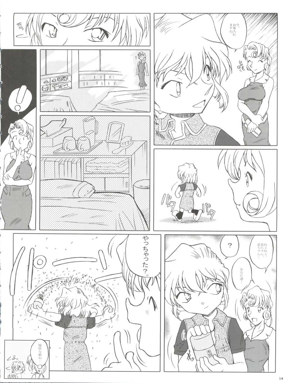 (CT4) [Studio Empty (Nishi)] Zoku Ai no Arashi Ai no Sanka (Detective Conan) - Page 14