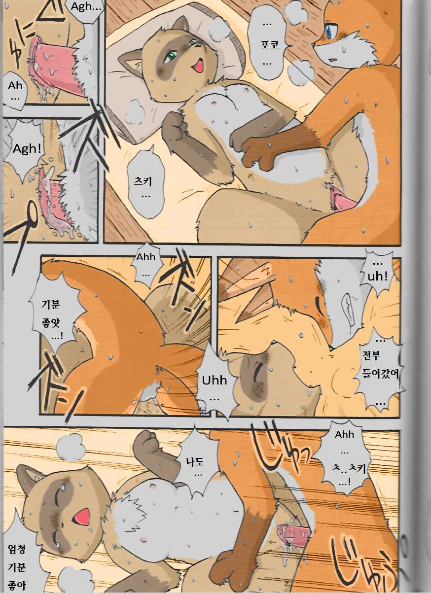 (C75) [Tamago Bakudan (Mikaduki Karasu)] Yukiguni Jouji | 겨울의 사랑이야기 (Seishun 18kin Kippu 3) [Korean] [호접몽] - Page 11