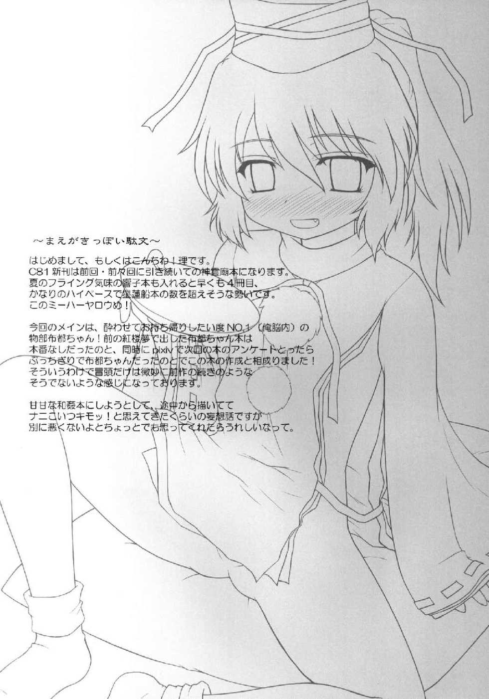 (C81) [Newtype Kenkyuujo (Kotowari)] Seidoujo o Seidoujo ni Saihenkan (Touhou Project) - Page 4