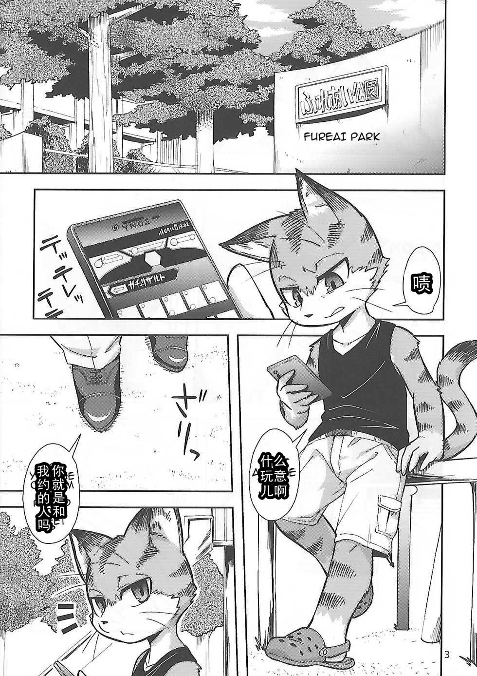 (Kansai! Kemoket 6) [Harugoya (Harusuke)] Harubon 12 [Chinese] [CK] - Page 3