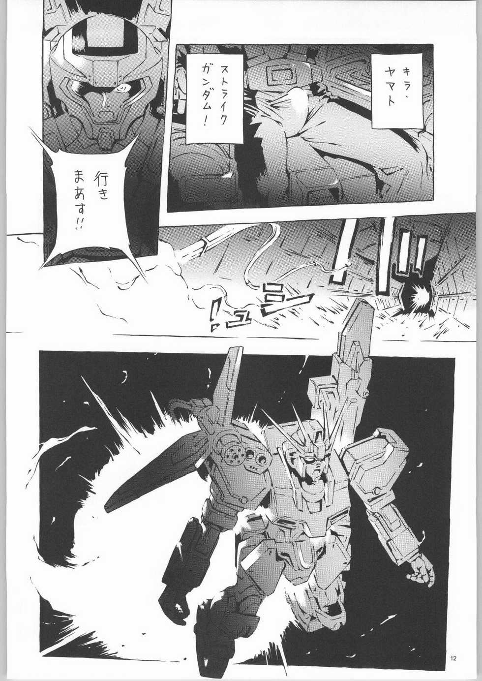 (C66) [Dish up (Warabi Yuuzou)] Kekkan Dam Dam A (Gundam Seed) - Page 11