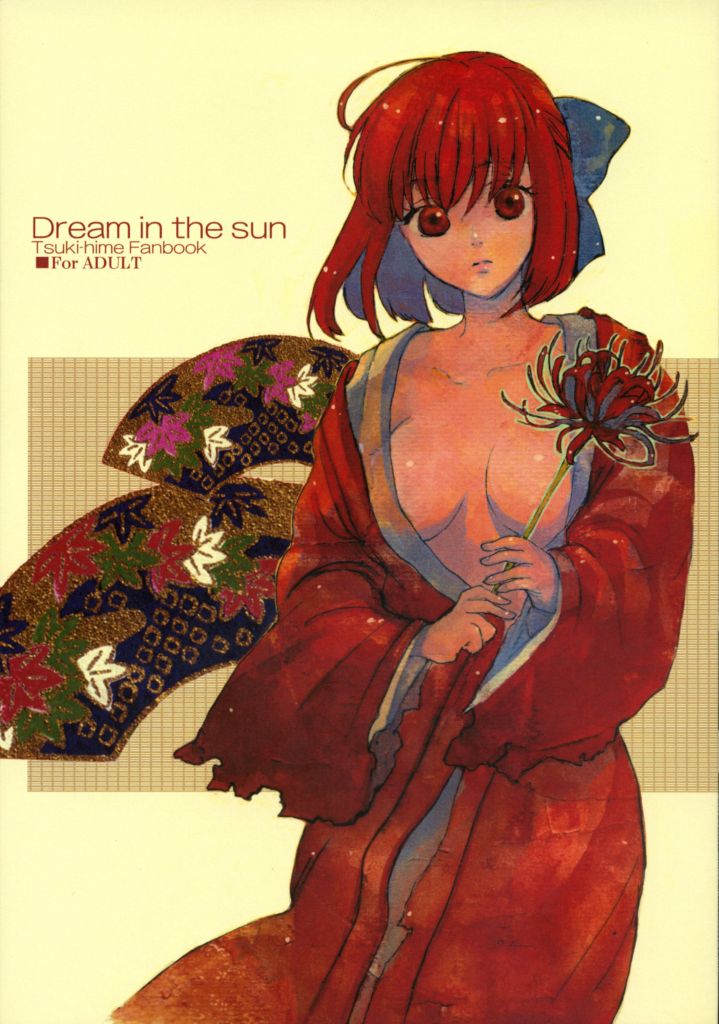 [Aihara Otome (Yamada Nyoriko)] Dream in the sun (Tsukihime) [English] [lHenTie] - Page 1