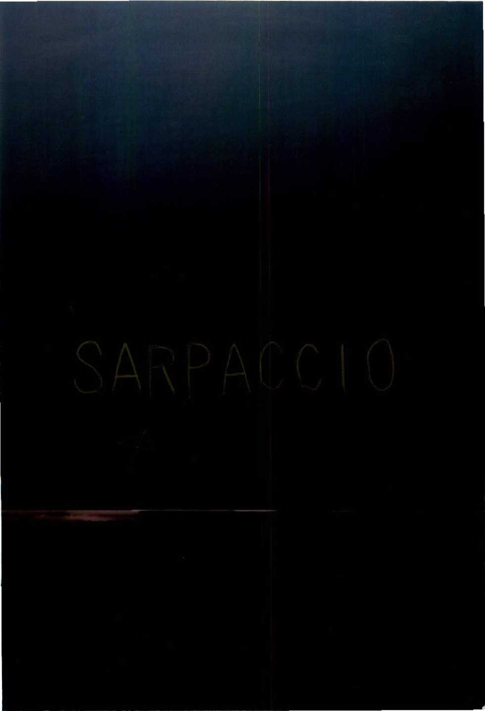 (CT29) [Sarpaccio (Waira)] Choro Sensei (Touhou Project) - Page 24