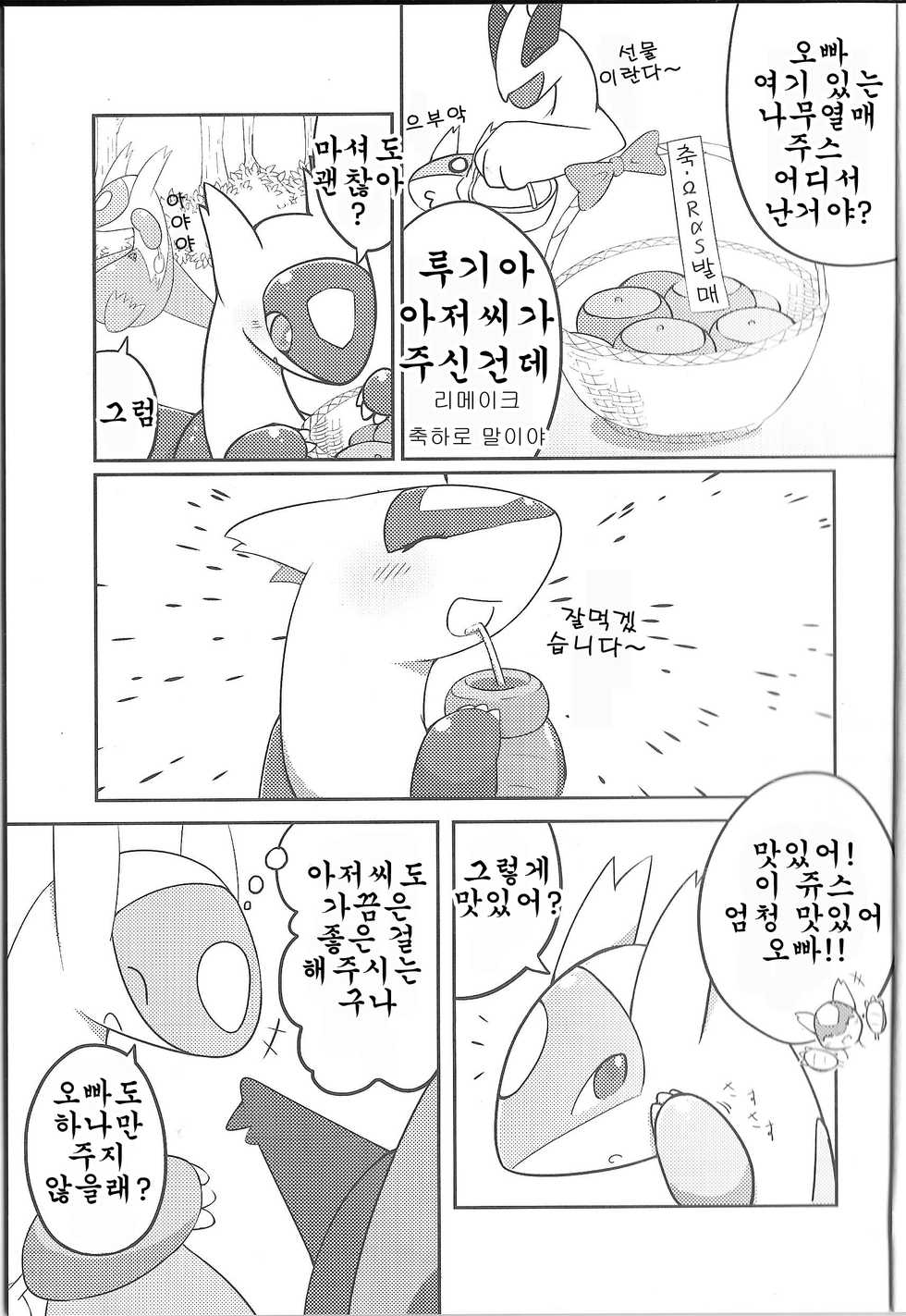 (C87) [Kajigurumi (Kajiura)] Fushigina Okurimono | 이상한 선물 (Pokémon) [Korean] [호접몽] - Page 4