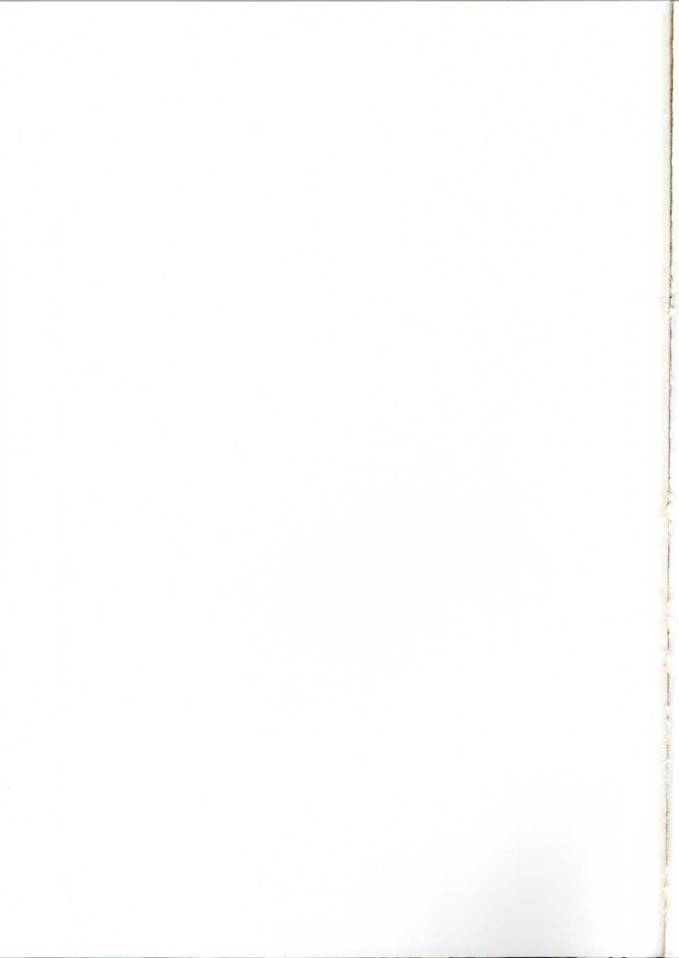 (C91) [Azasuke Wind (AZASUKE)] BOSOM BUDDY (Granblue Fantasy) - Page 27