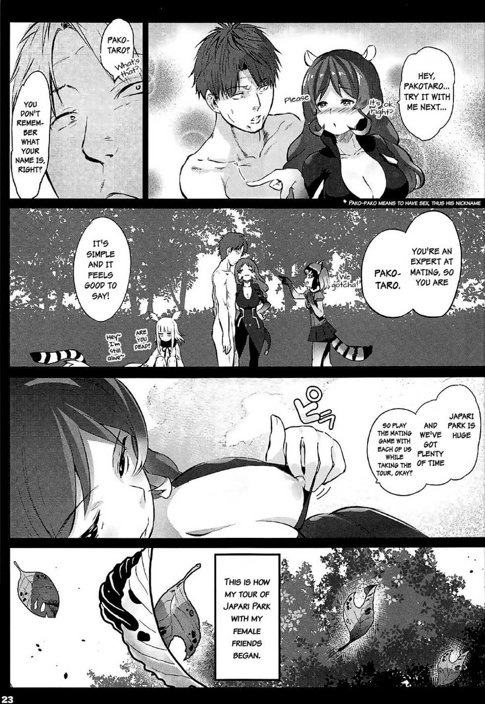(SC2017 Summer) [Kowareta Radio (Herokey)] Kedamono Sex Friends | Animal Sex Friends (Kemono Friends) [English] - Page 22