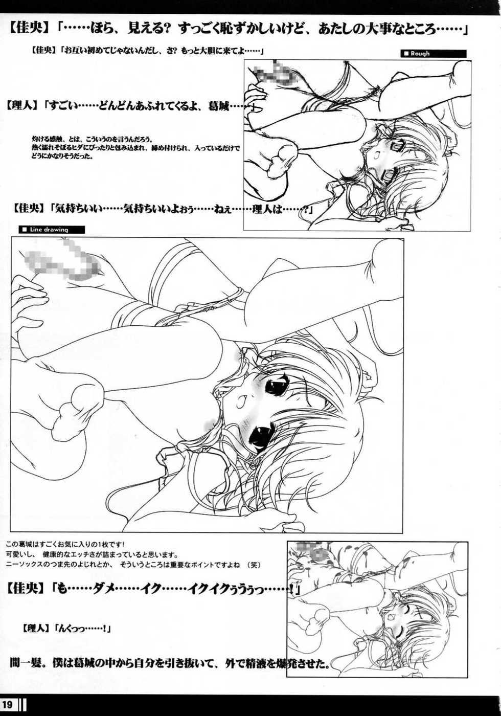 (C68) [StrayMoon (Miyama Zero)] Princess Brave! Jantaku no Kishi - Settei Gengashuu - Page 18
