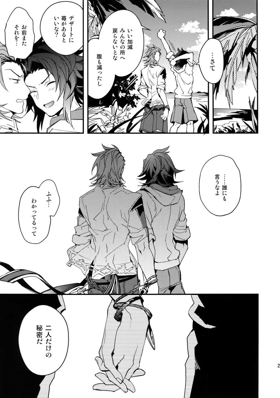 [SilverRice (Sumeshi)] Perfect Summer Vacation (Granblue Fantasy) - Page 24