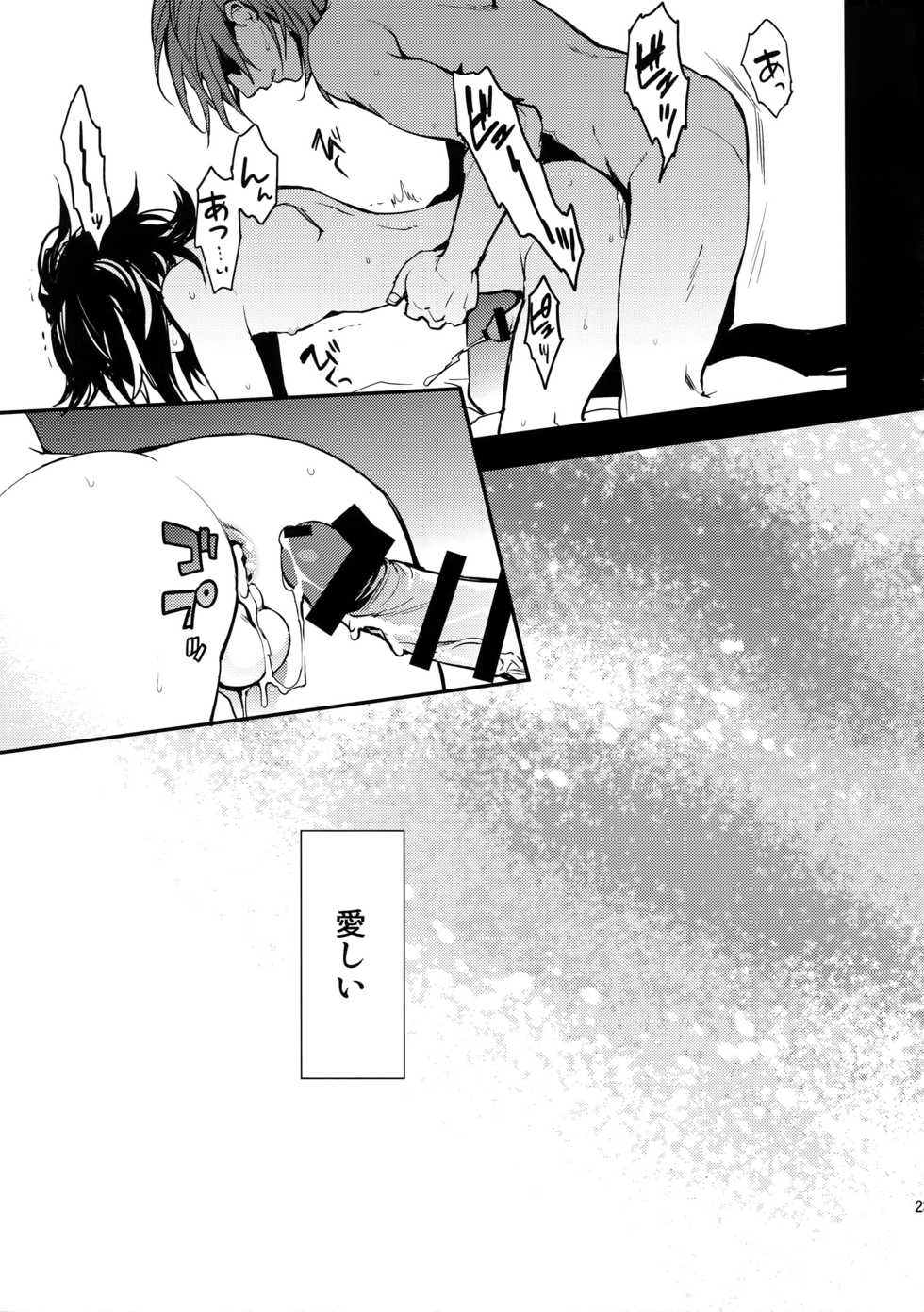(C91) [SilverRice (Sumeshi)] Ishin Denshin (Granblue Fantasy) - Page 22