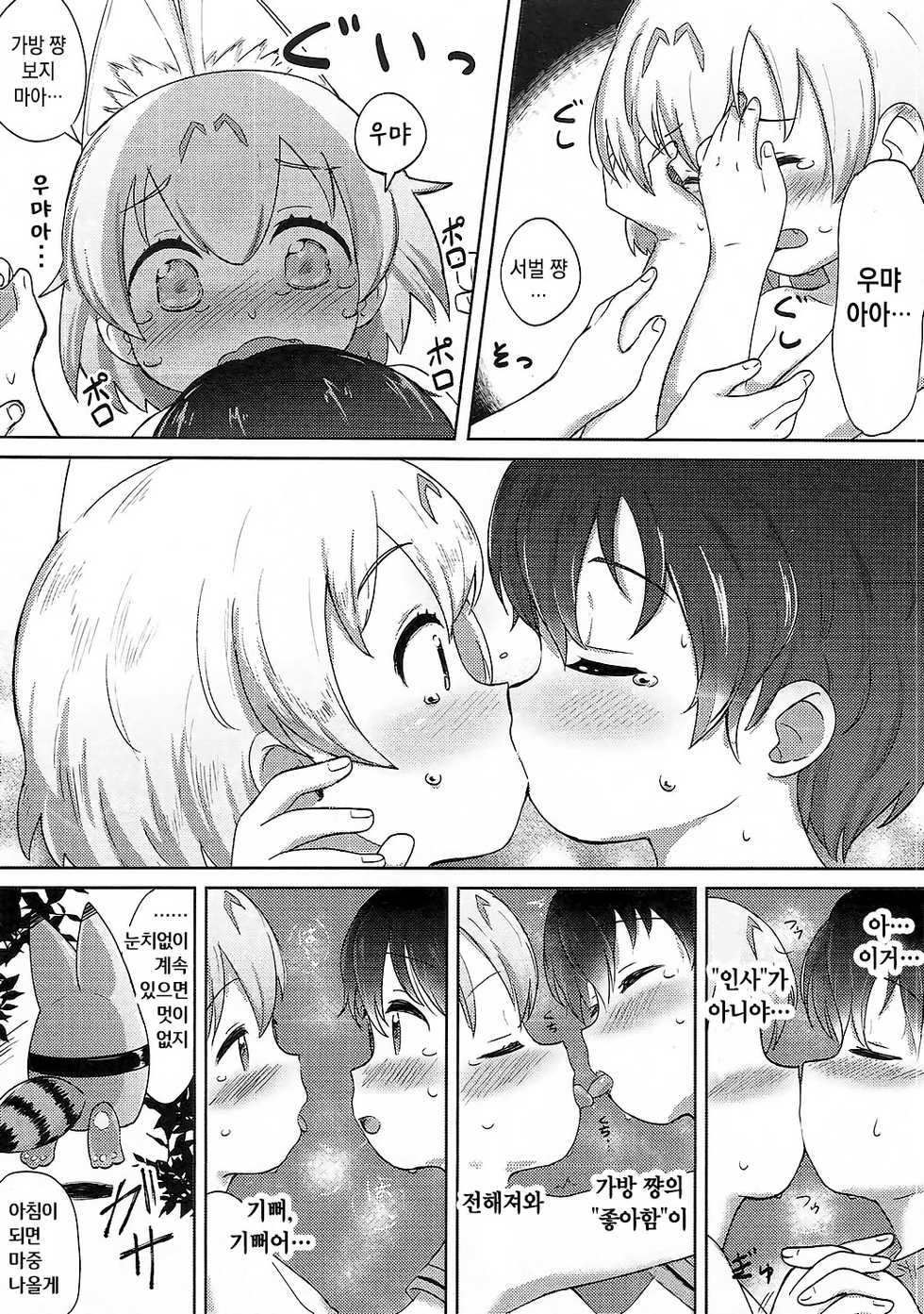(C92) [Neko Pantsu] Kemono Ecchi Kansatsu Kiroku | 케모노 엣찌 관찰기록 (Kemono Friends) [Korean] - Page 19