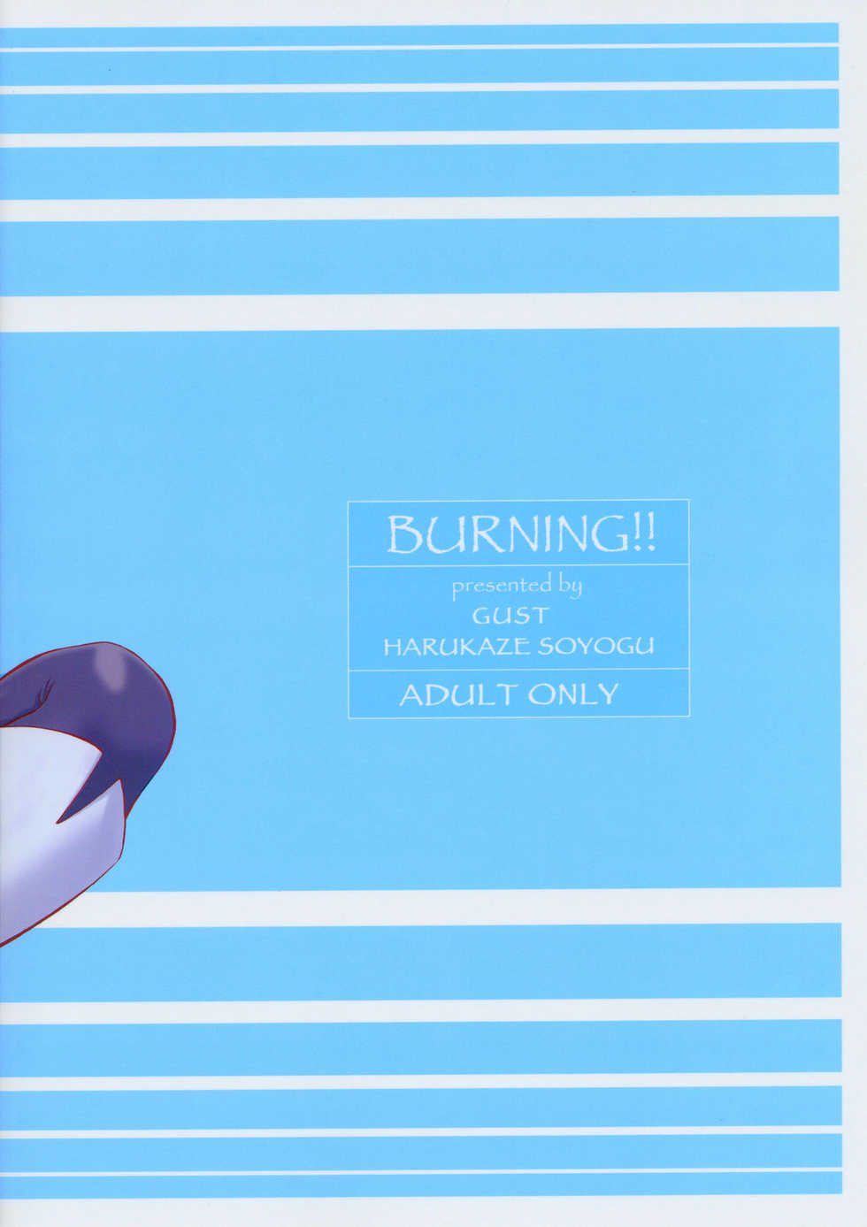 (C67) [GUST (Harukaze Soyogu)] Burning!! (Mobile Suit Gundam SEED DESTINY) - Page 22