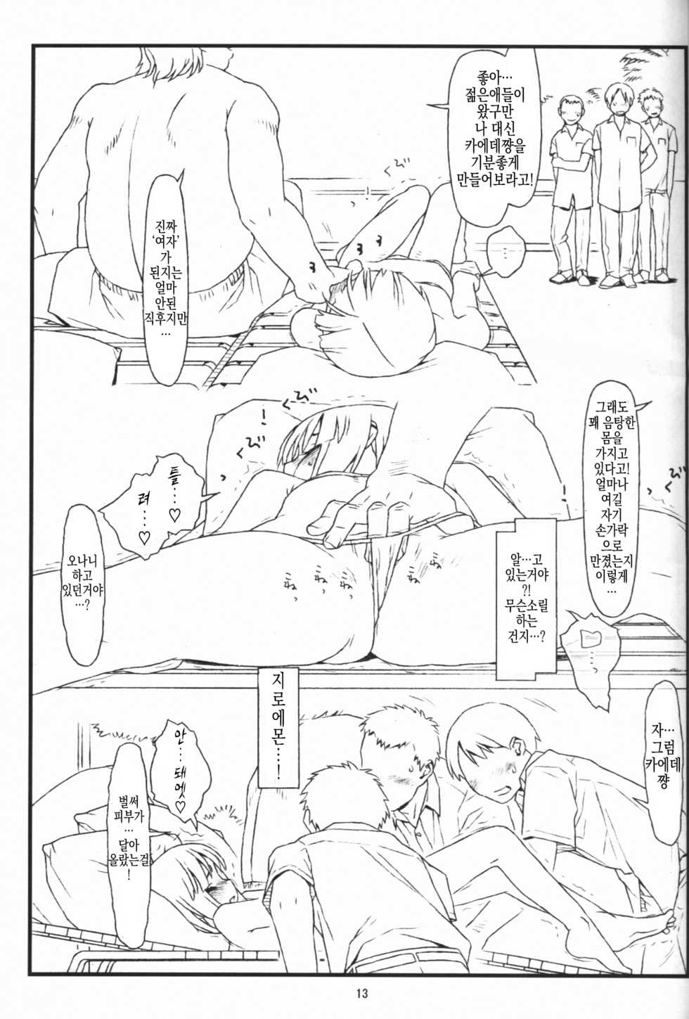 (COMIC1☆9) [bolze. (rit.)] Tsurugiya Buaisou Funsenki (Kizuato) [Korean] [Team Fangall] - Page 12