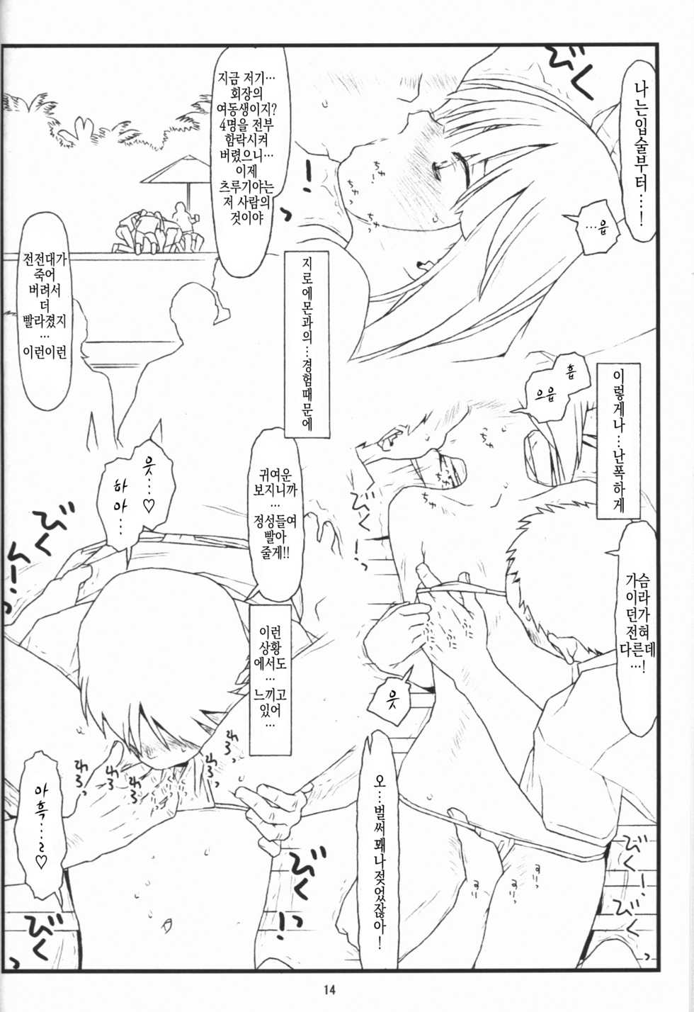 (COMIC1☆9) [bolze. (rit.)] Tsurugiya Buaisou Funsenki (Kizuato) [Korean] [Team Fangall] - Page 13