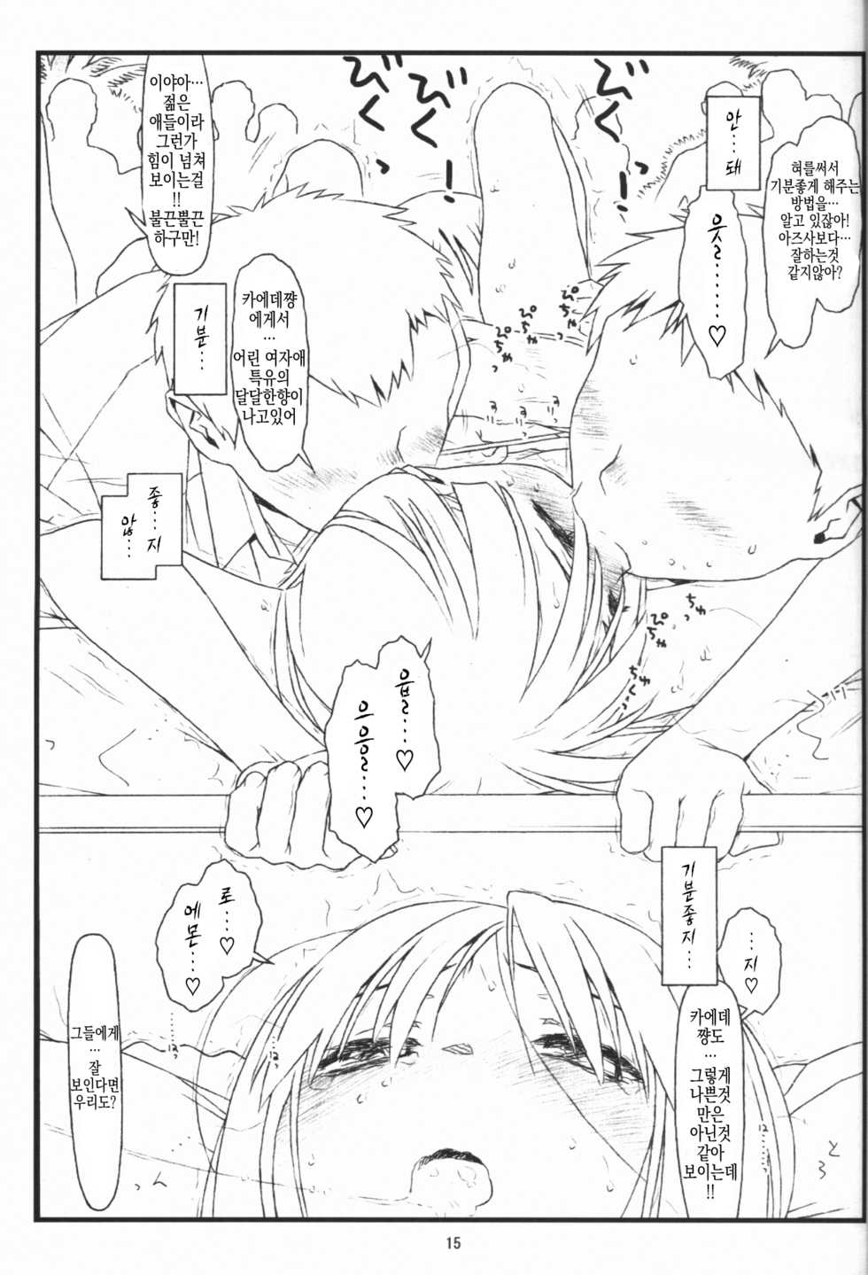 (COMIC1☆9) [bolze. (rit.)] Tsurugiya Buaisou Funsenki (Kizuato) [Korean] [Team Fangall] - Page 14