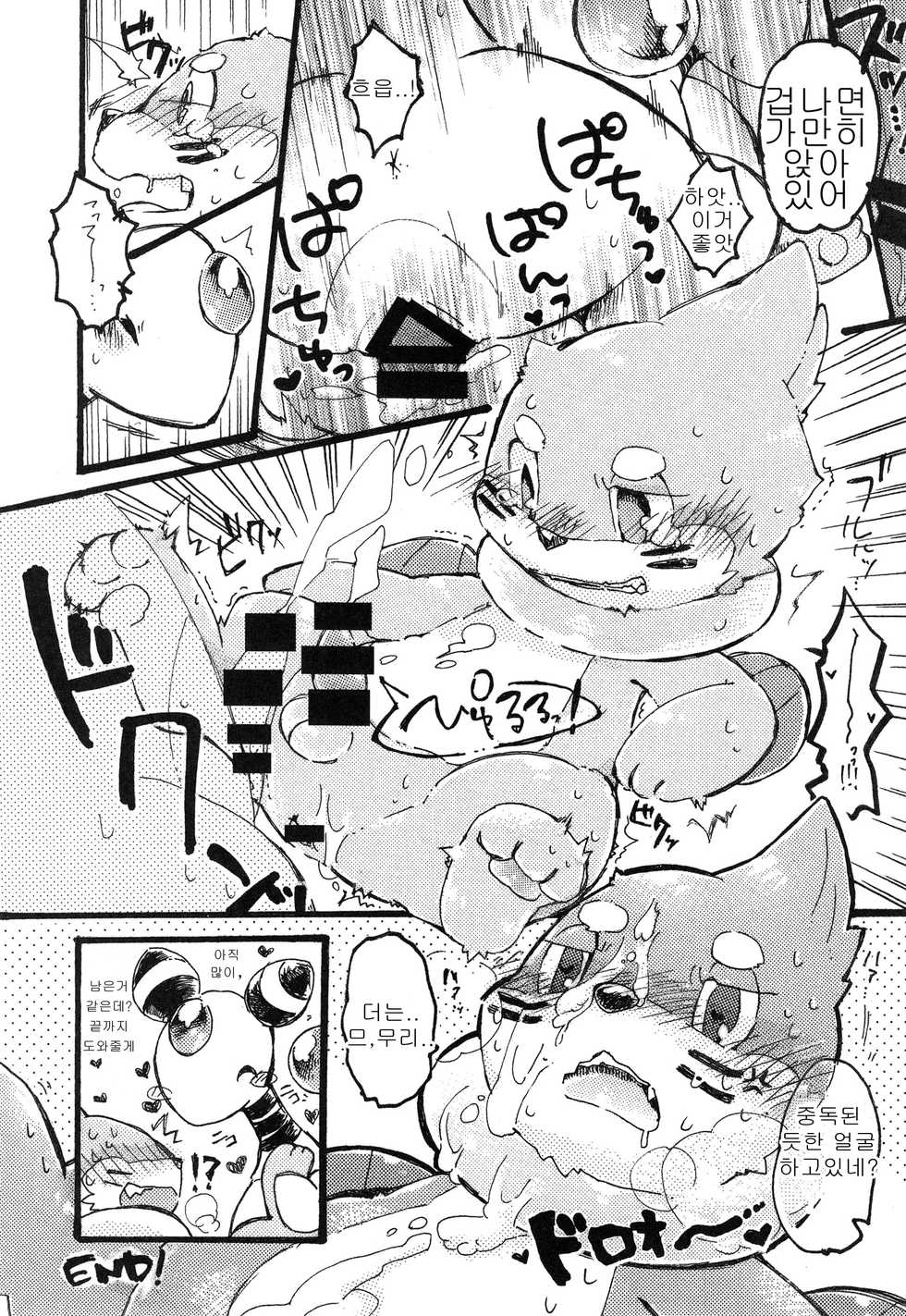 (Kansai! Kemoket 5) [Maromayu (Pisho, Katomi, DAGASI)] Screw Tail | 스크류 테일 (Pokémon) [Korean] [호접몽] - Page 3