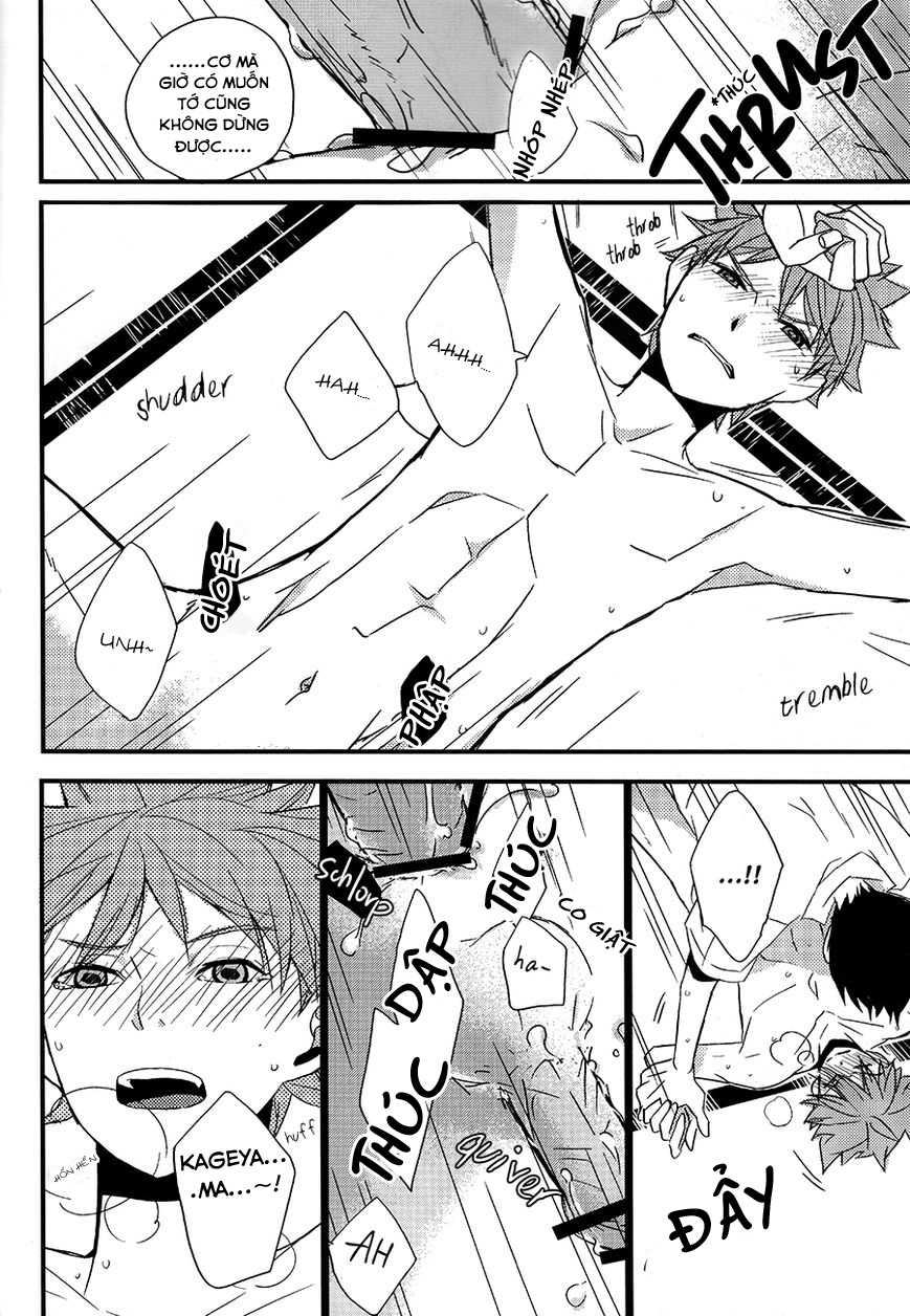 (HaruCC19) [GOONYLOT (Niio Bino)] Kotowaru Riyuu wa Nai Daro? | You’ve Got No Reason to Refuse, Right? (Haikyuu!!) [Vietnamese Tiếng Việt] [Bullet Burn Team] - Page 17