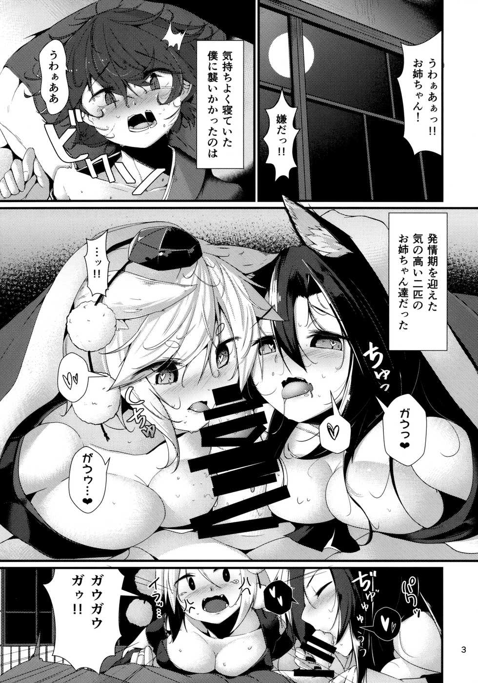 (Kouroumu 13) [Nanika no Heya (Hira)] Inu no Onee-chan-tachi no Hatsujou "Shitsuke" (Touhou Project) - Page 2