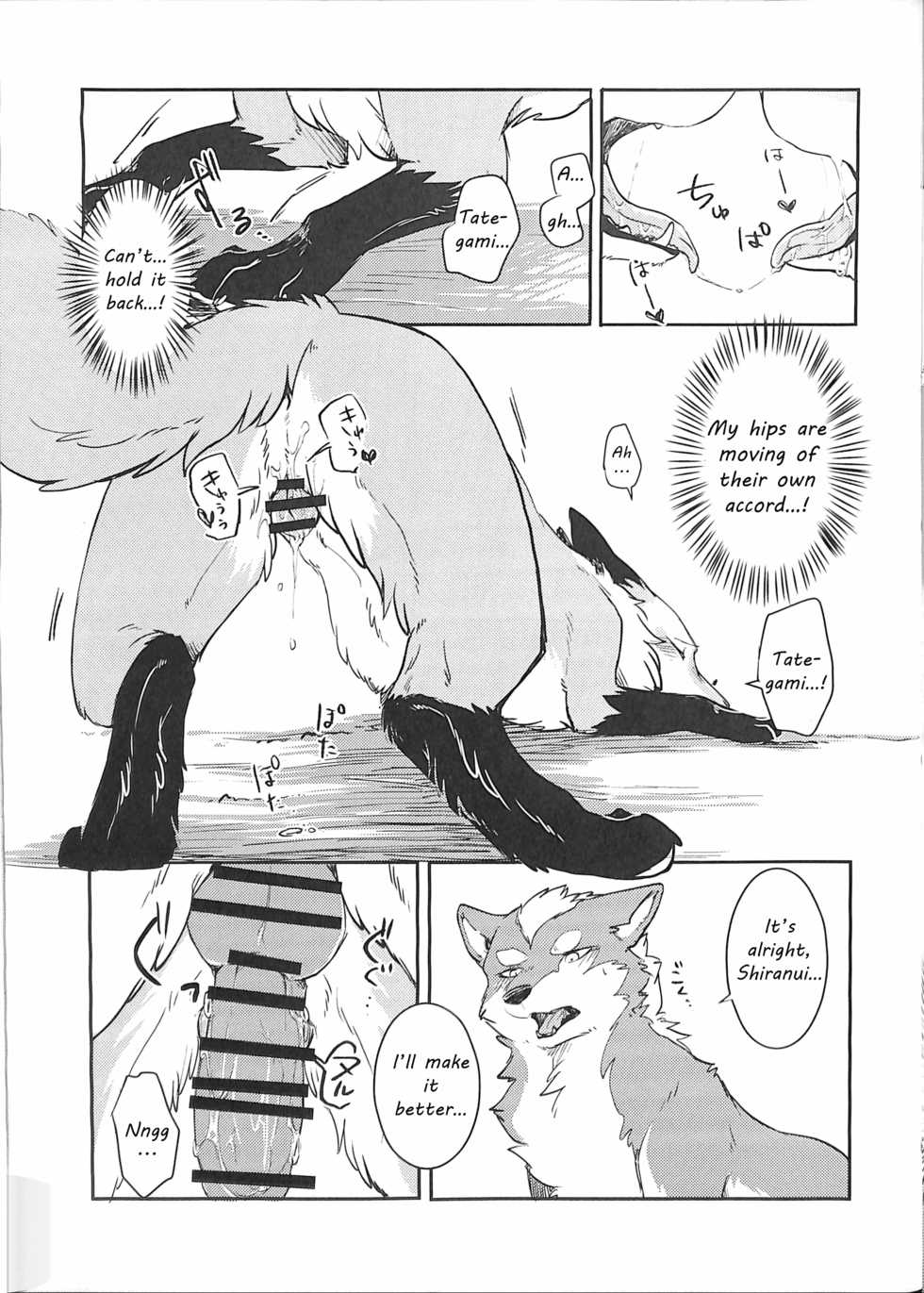 (Kansai! Kemoket 5) [D-Point! (Diga Tsukune)] Yume Utsutsu Lovage [English] [cophase] - Page 18