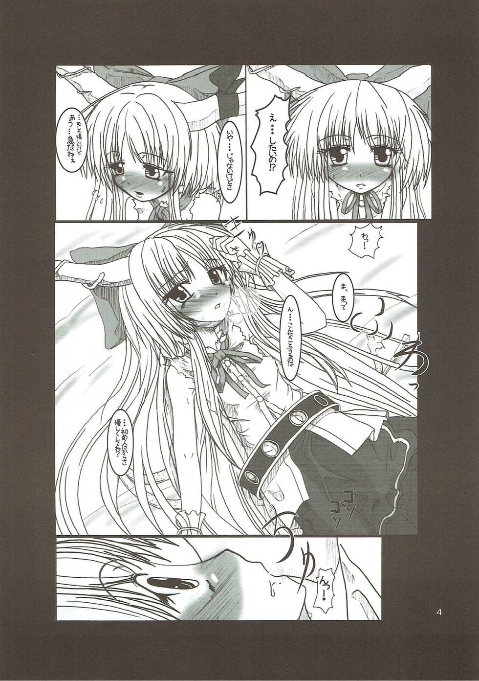 (CT15) [X-Line (YAMADA)] 02 (Touhou Project) - Page 3