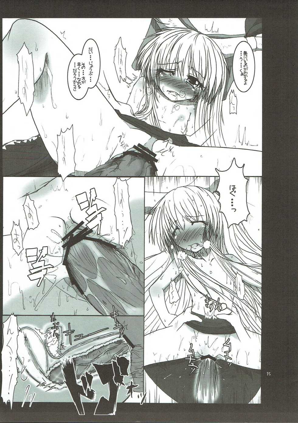 (CT15) [X-Line (YAMADA)] 02 (Touhou Project) - Page 14