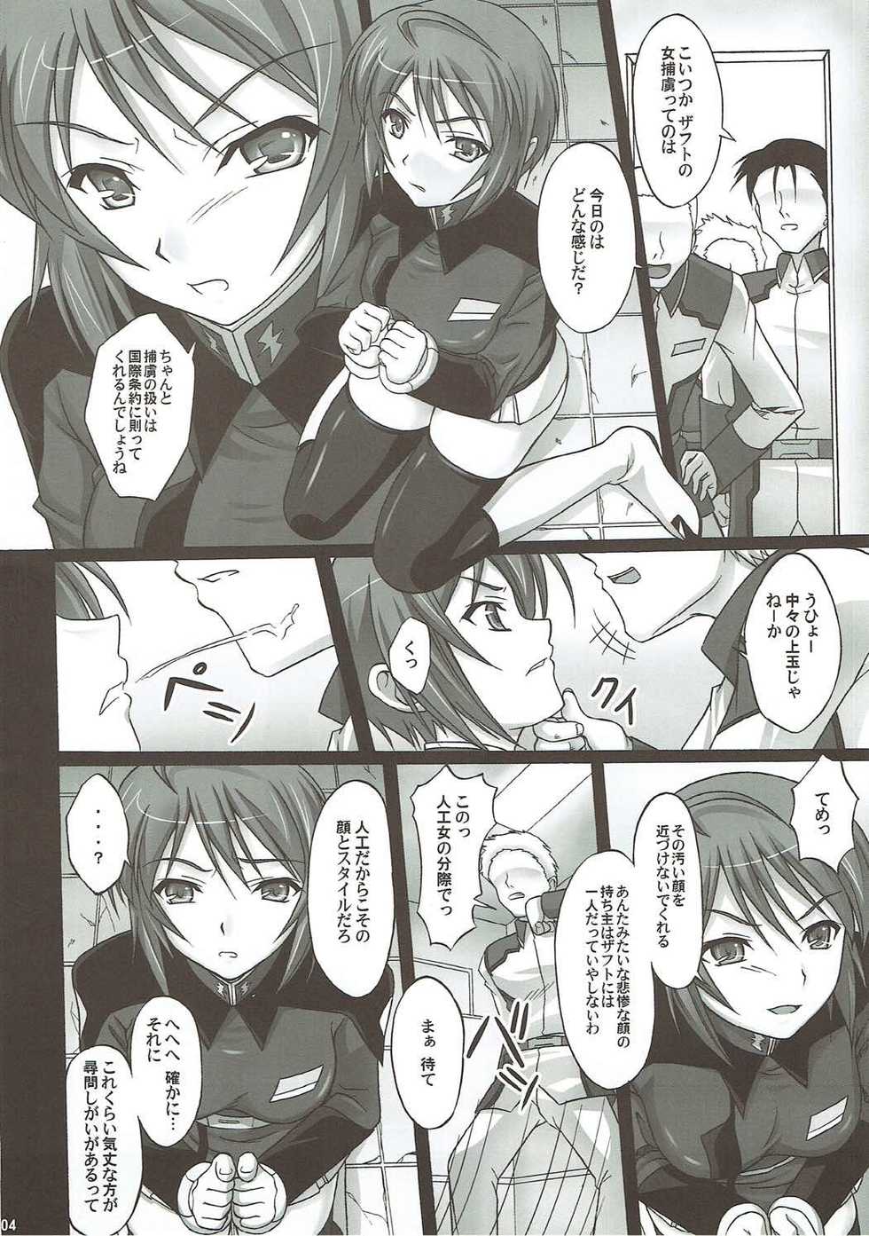 [Ishikari Shake Nabe Doukoukai (Takahiro Ringu)] Natural Cook -Tennensei Shibori- (GUNDAM SEED DESTINY) - Page 3
