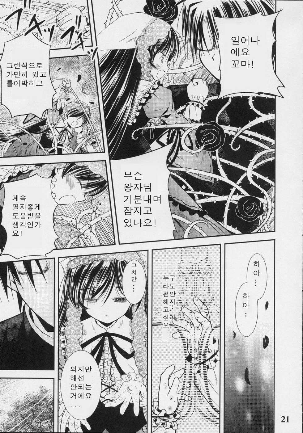 (C70) [Quarter View (Jin’nojyou, Kuroboshi Kouhaku)] A solitude nocturne (Rozen Maiden) [Korean] - Page 20