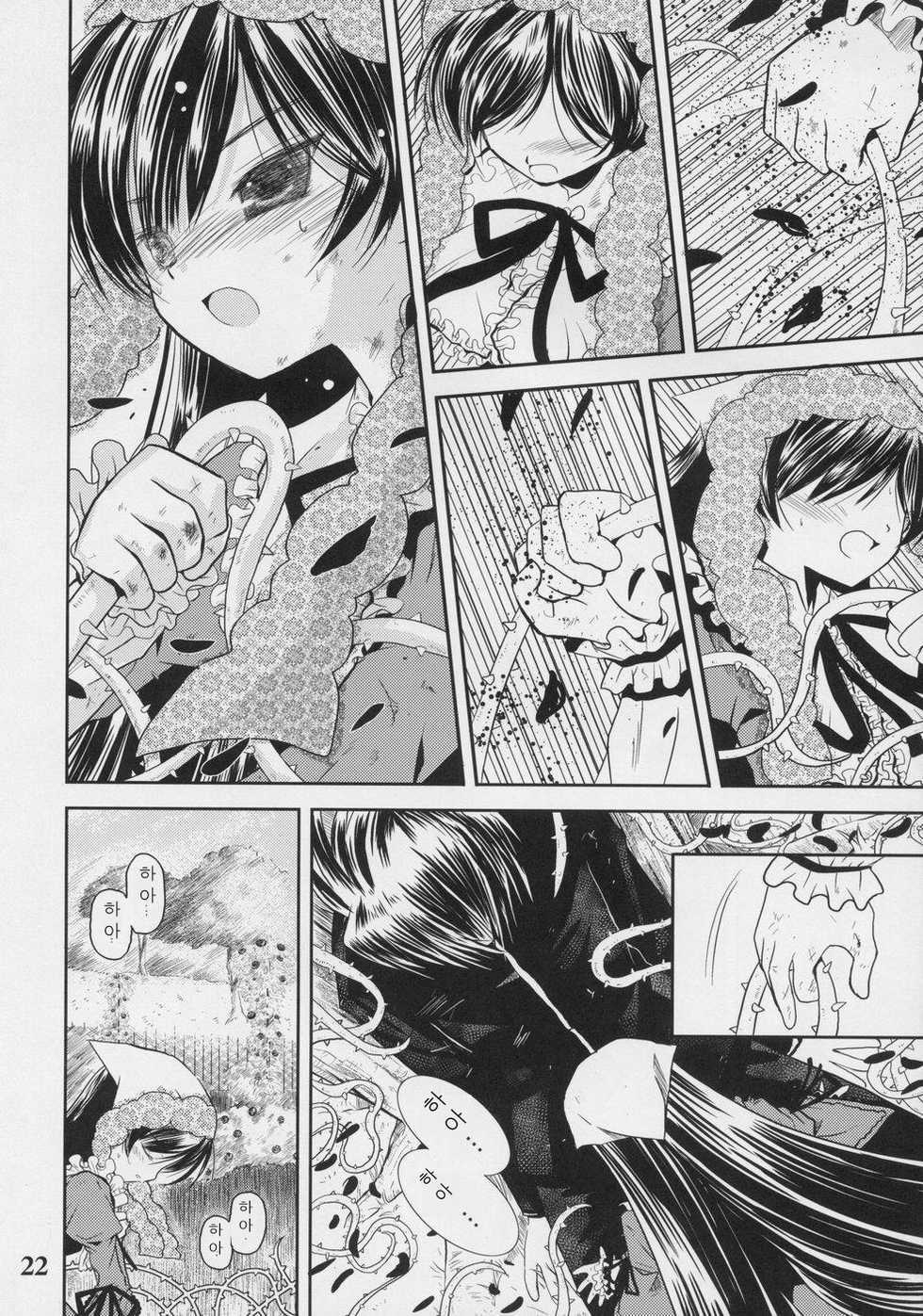 (C70) [Quarter View (Jin’nojyou, Kuroboshi Kouhaku)] A solitude nocturne (Rozen Maiden) [Korean] - Page 21