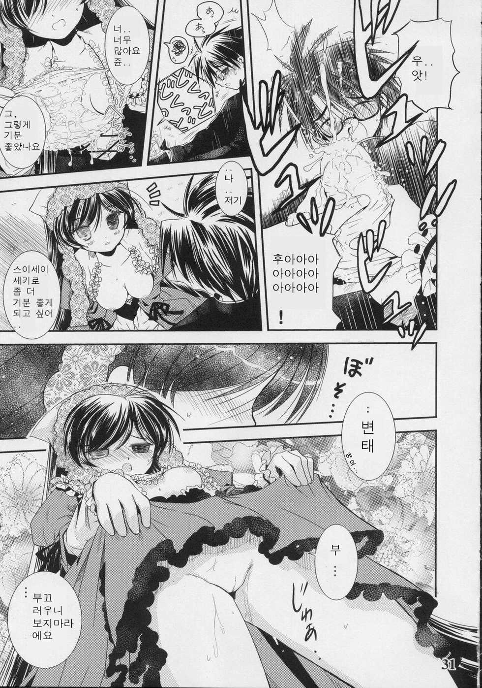 (C70) [Quarter View (Jin’nojyou, Kuroboshi Kouhaku)] A solitude nocturne (Rozen Maiden) [Korean] - Page 30
