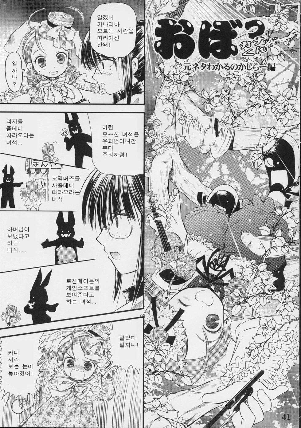(C70) [Quarter View (Jin’nojyou, Kuroboshi Kouhaku)] A solitude nocturne (Rozen Maiden) [Korean] - Page 40