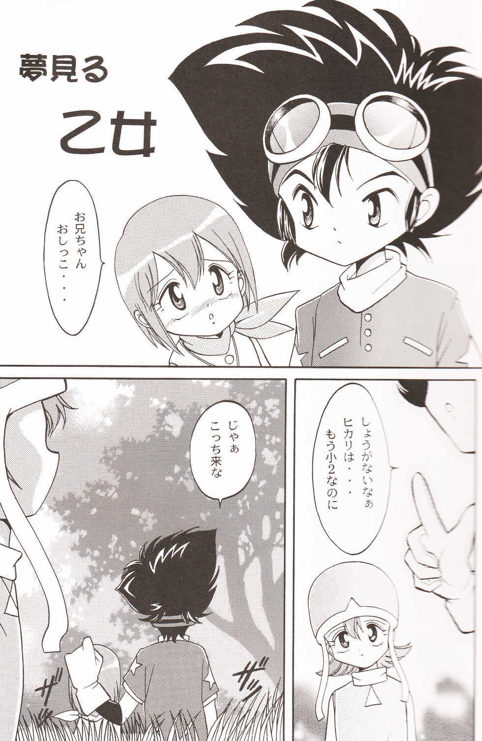 (C58) [Studio TAMO (Daikyojin)] Sora Mimi Hour (Digimon Adventure) - Page 10