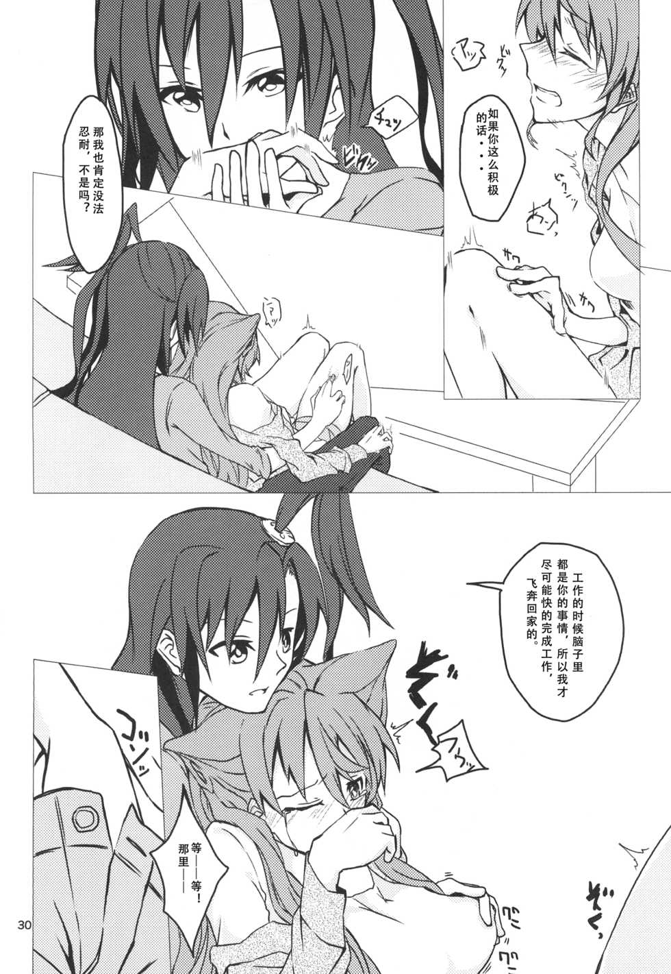 (C85) [HB (Futoo)] Wunsch (Senki Zesshou Symphogear) [Chinese] [假良假影个人汉化] - Page 32