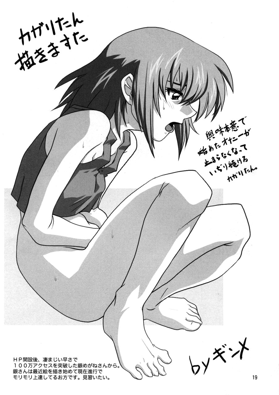 (C64) [Combat Mon-Mon] Bloom (Gundam Seed) - Page 18