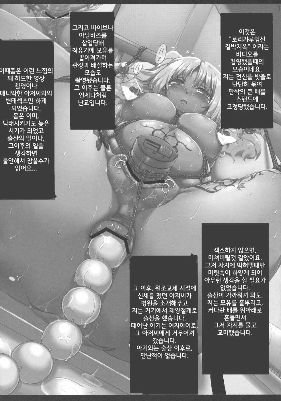 (C83) [GREAT Acta (tokyo)] Shinka no Kiseki | 진화의 궤적 유카 모음집 (Minami-ke) [Korean] - Page 12