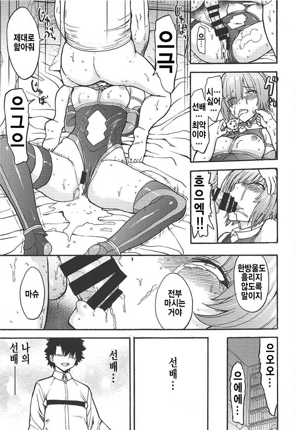 (C92) [Dairiseki (Hakaba)] VR Choukyou Ryoujoku Mash | VR 조교능욕 마슈 (Fate/Grand Order) [Korean] [시뮬라시옹] - Page 13