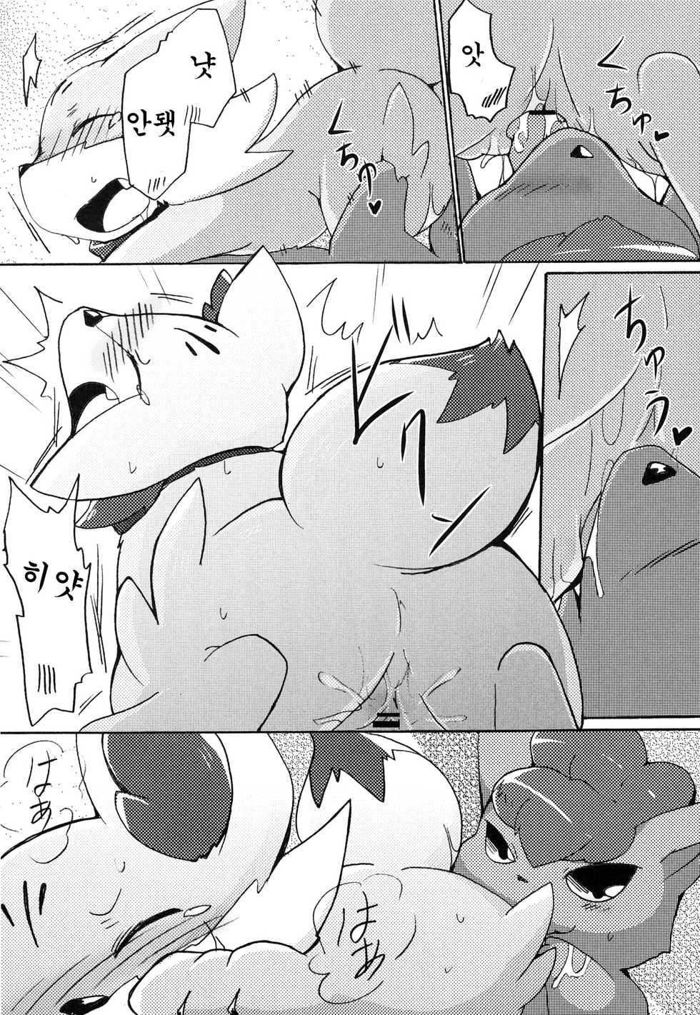 (Kemoket 2) [Kemono no Koshikake (Various)] Kitsune no Yuuwaku | 여우의 유혹 (Pokémon X and Y) [Korean] [호접몽] - Page 21