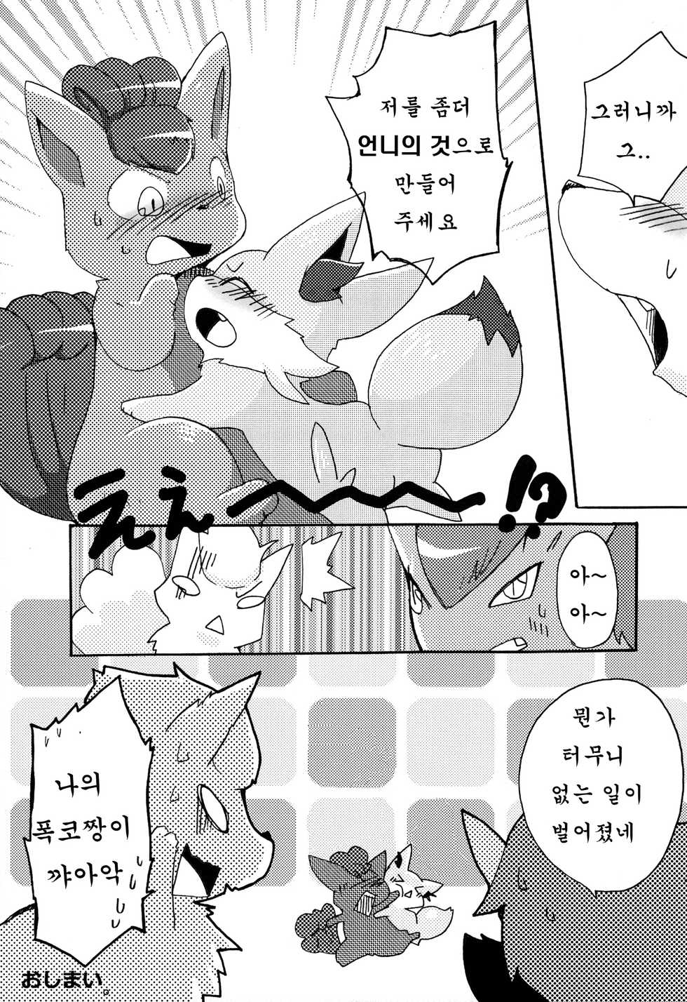 (Kemoket 2) [Kemono no Koshikake (Various)] Kitsune no Yuuwaku | 여우의 유혹 (Pokémon X and Y) [Korean] [호접몽] - Page 40