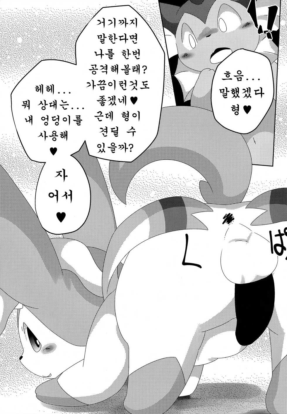 (C93) [TUMBLE WEED (Itameshi)] Reversal (Pokémon) [Korean] [호접몽] - Page 12