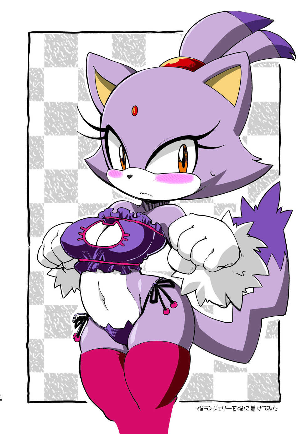 (Sega no Game wa Sekaiichi 12) [Tengai Aku Juumonji (Akuno Toujou)] Patreon de Yattemasu (Sonic the Hedgehog) [English] [N04h] [Colored] [Decensored] - Page 17