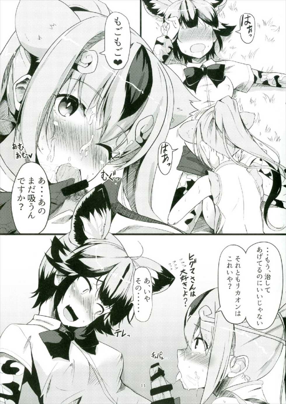 (C93) [obsession! (Hyouga.)] Kenen no Naka (Kemono Friends) - Page 11