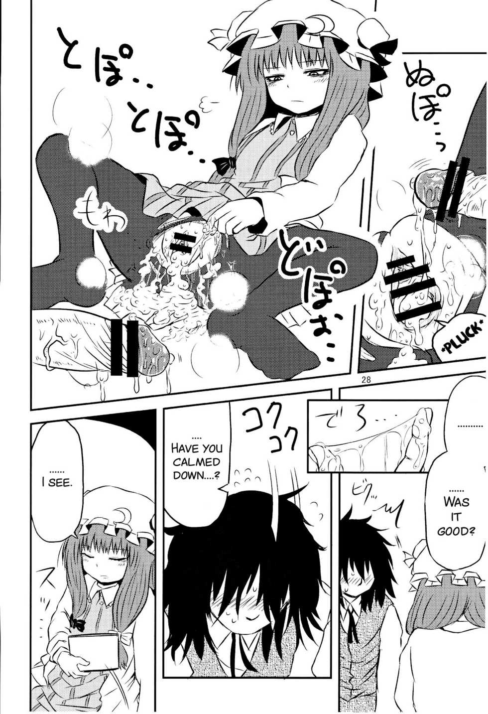 (C82) [Fugodoku (Katou Fuguo)] SURUDAKE Ni. (Touhou Project) [English] [SMDC] - Page 28