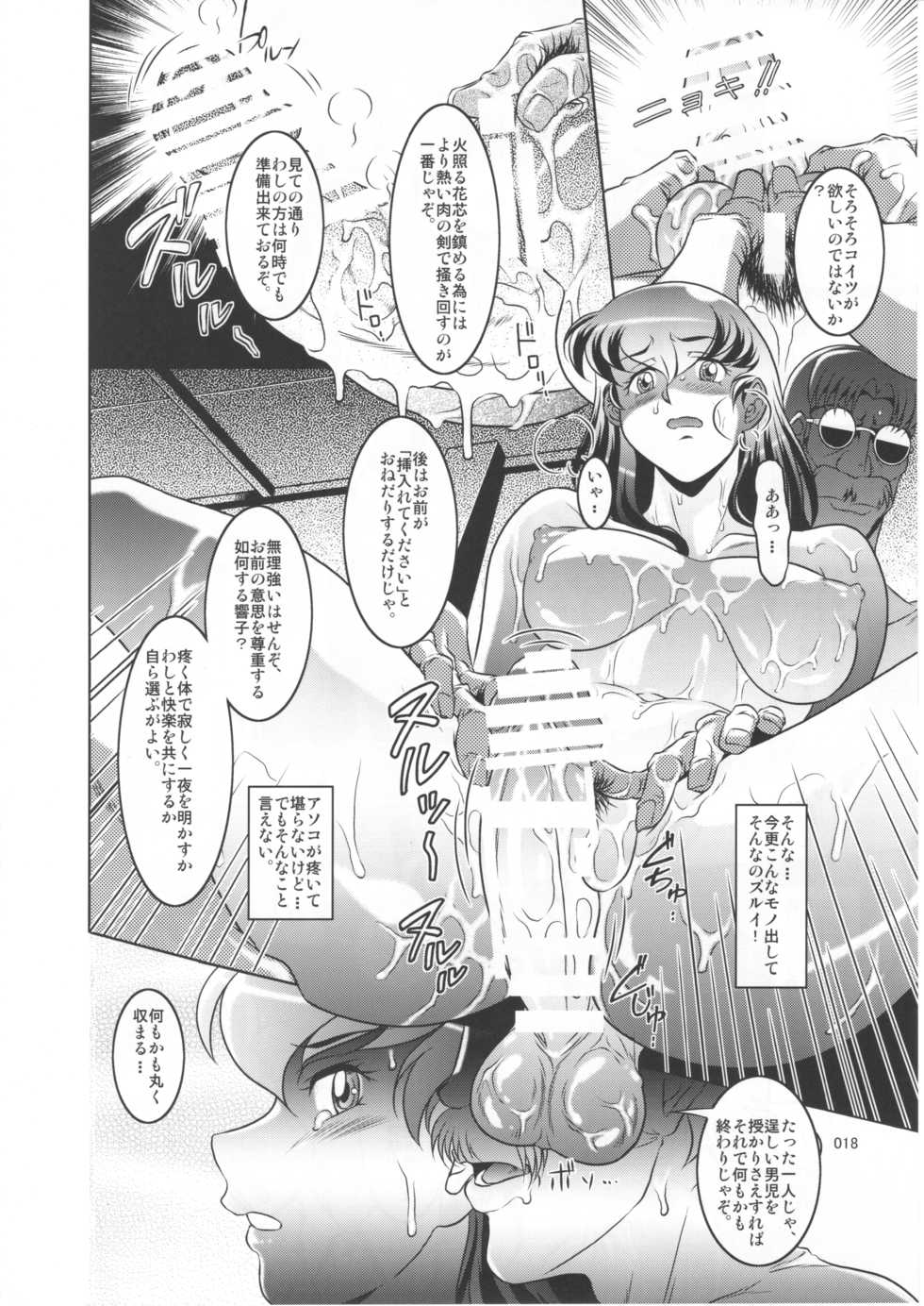 (C92) [Garakuta-ya (Neko Manma)] La Maison vin trop jeune 4 (Maison Ikkoku) - Page 17